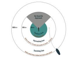 code of conduct - approaching whales