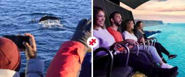 classic whale watching & flyover iceland combo