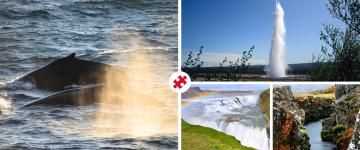 whales & golden circle combo