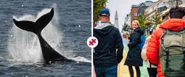 classic whale watching & food walk combo