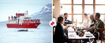 akureyri whale watching and food walk
