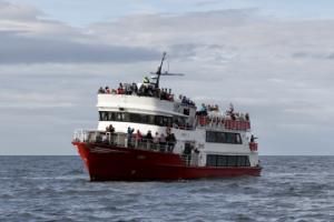 eldey boat with passengers in reykjavik iceland