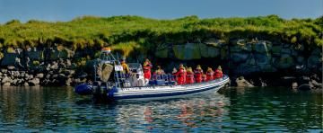puffin watching rib tour