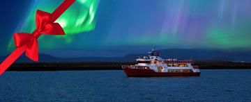 northern lights cruise gift card