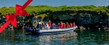 rvk premium puffin tour website image