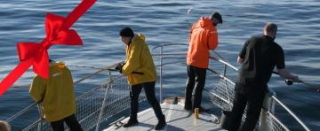 rvk sea angling gift card website tour image