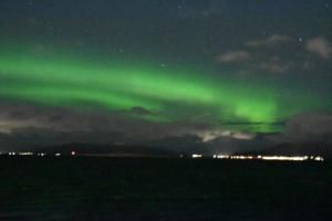 northern lights cruise