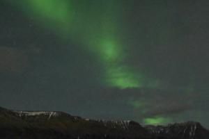 northern lights cruise