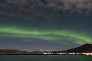 northern lights cruise