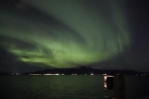 northern lights cruise