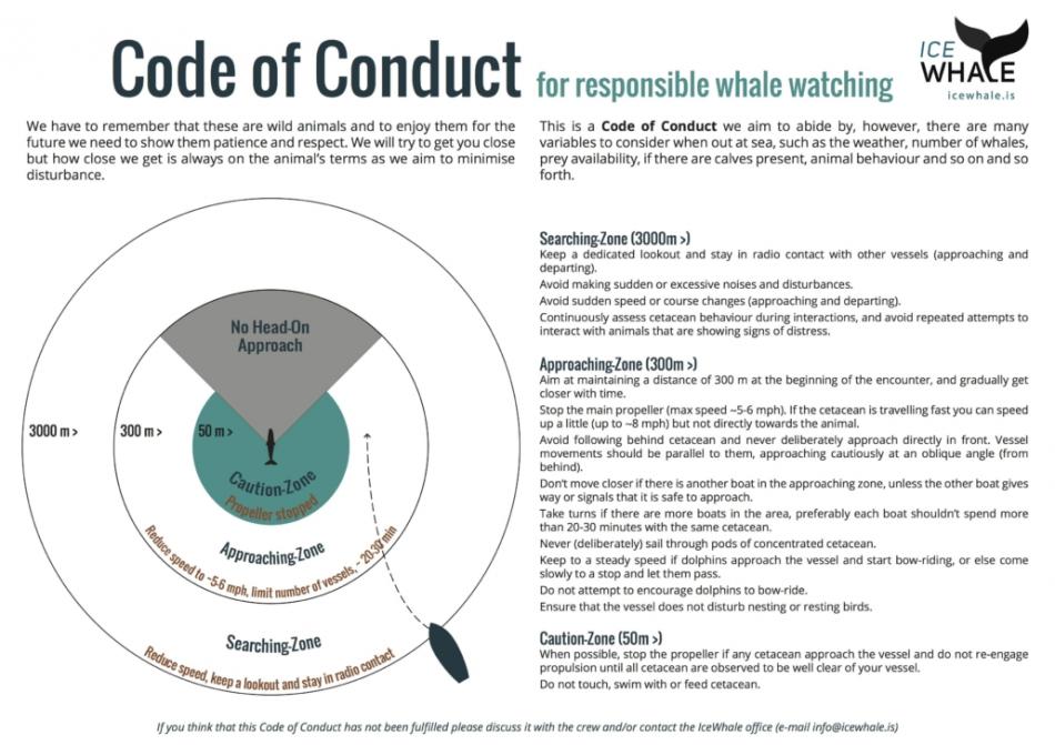code of conduct for whale watching