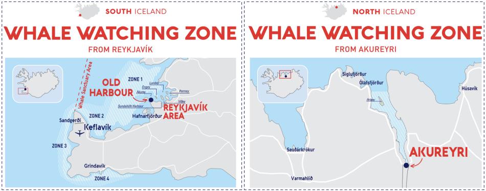 whale watching areas iceland reykjavik akureyri