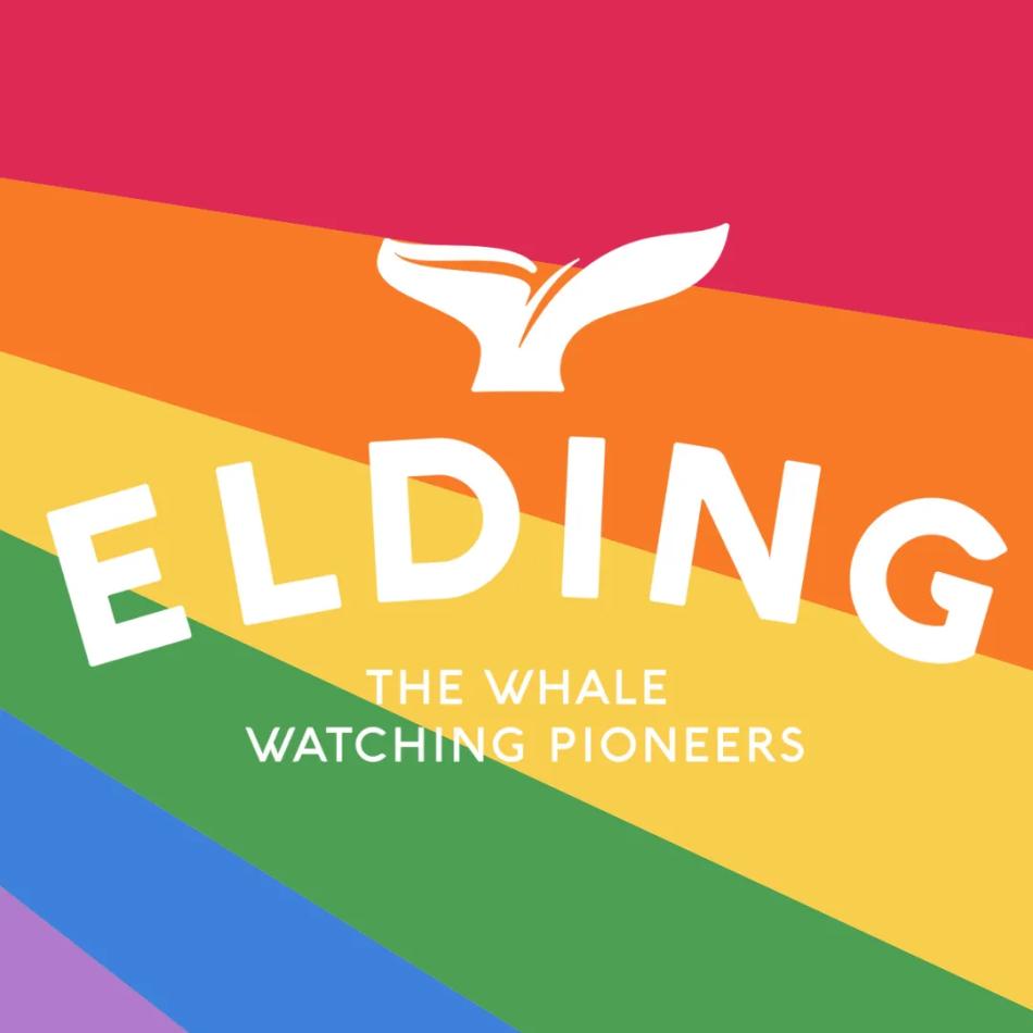 elding pride logo
