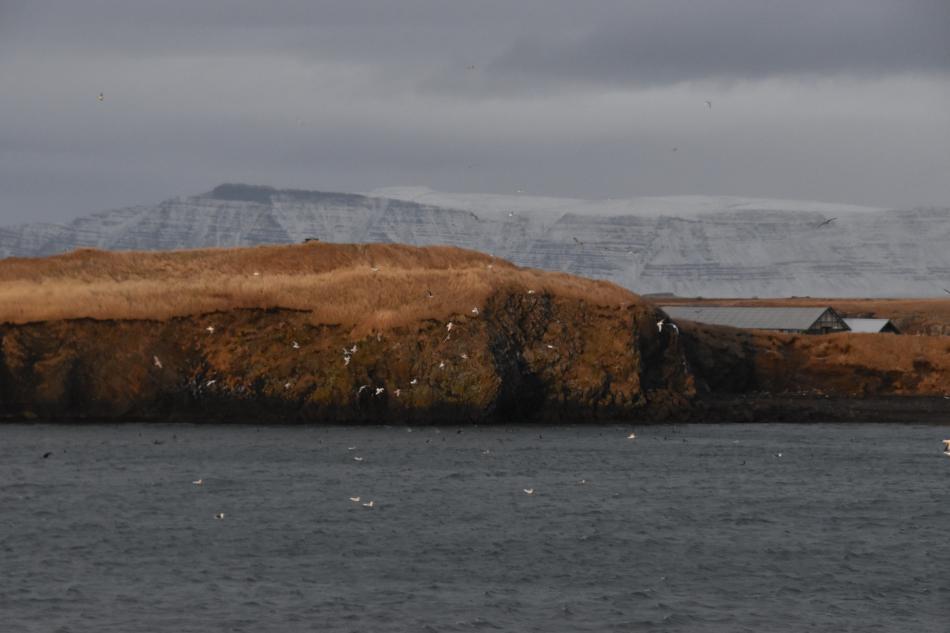 videy island in winter