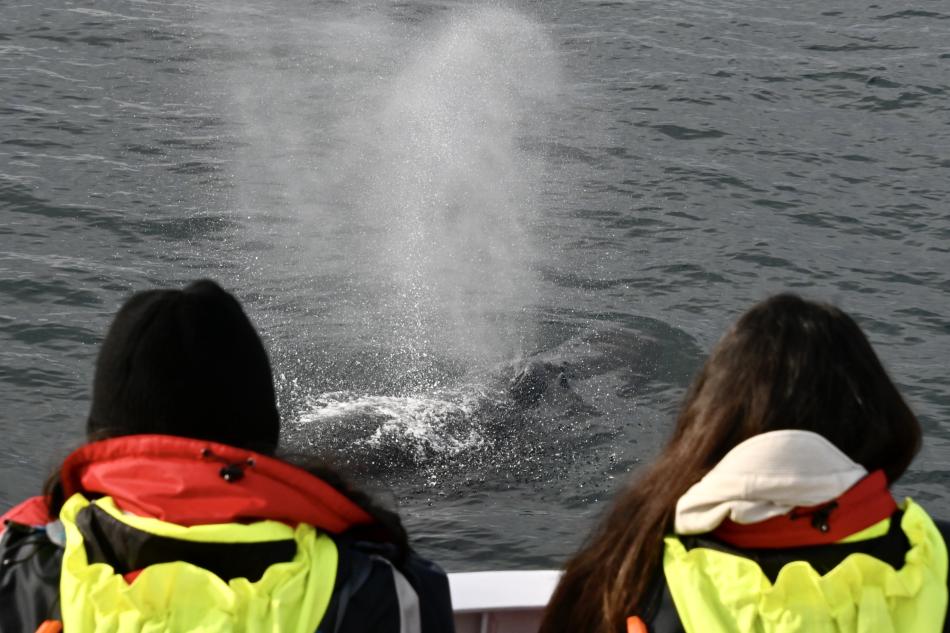 Two passengers look upon a humpback whale spouting between them. 