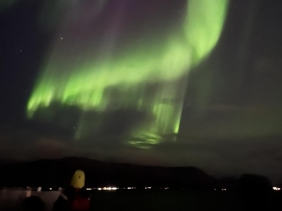 northern lights cruise from reykjavik