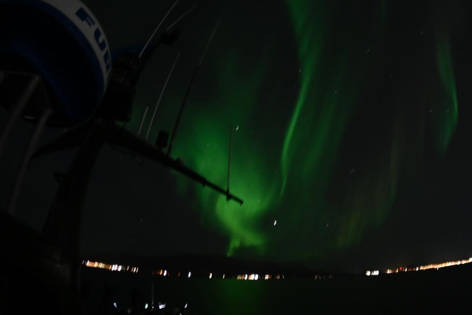 northern lights cruise