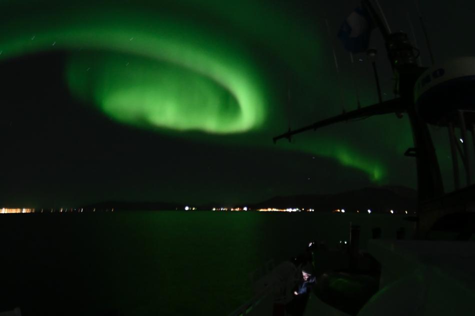 northern lights cruise