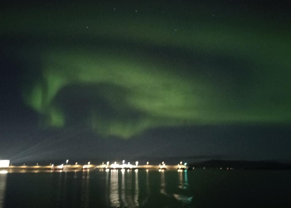 northern lights cruise