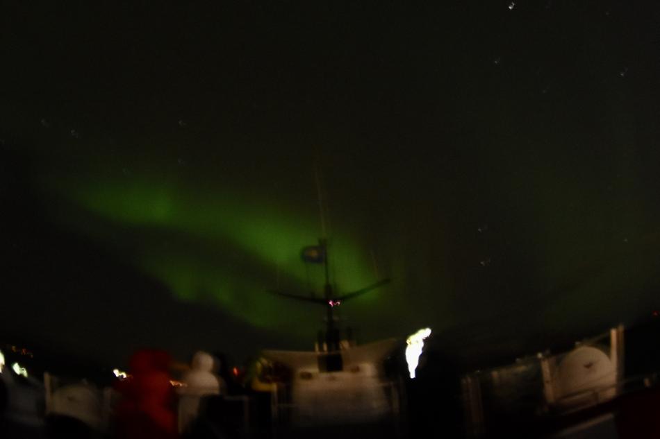 northern lights cruise