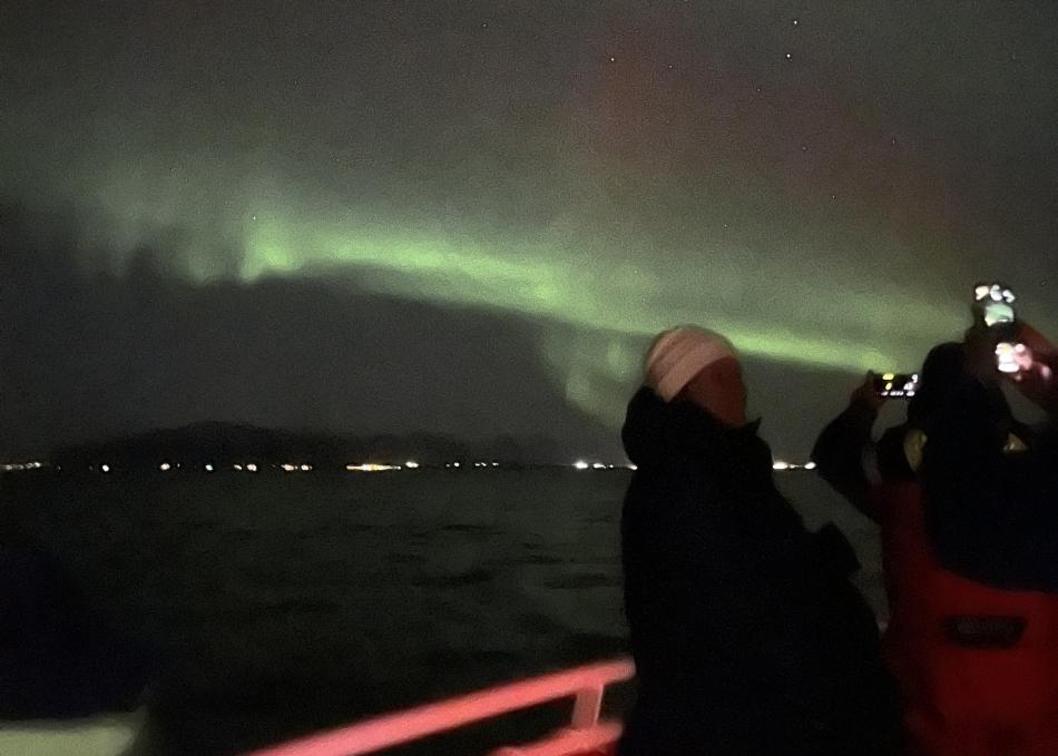 northern lights cruise