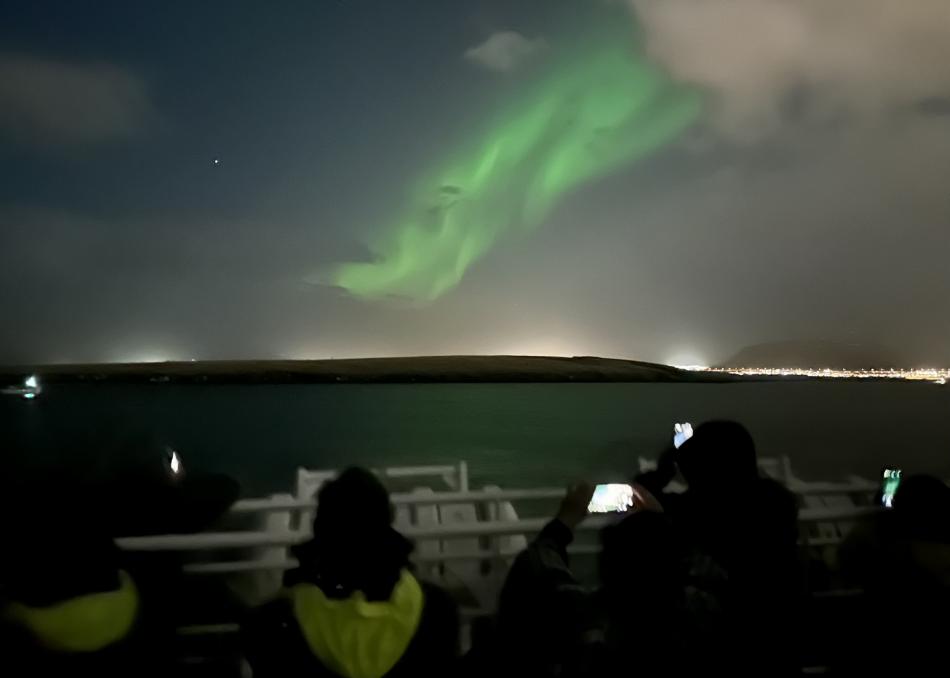 northern lights cruise