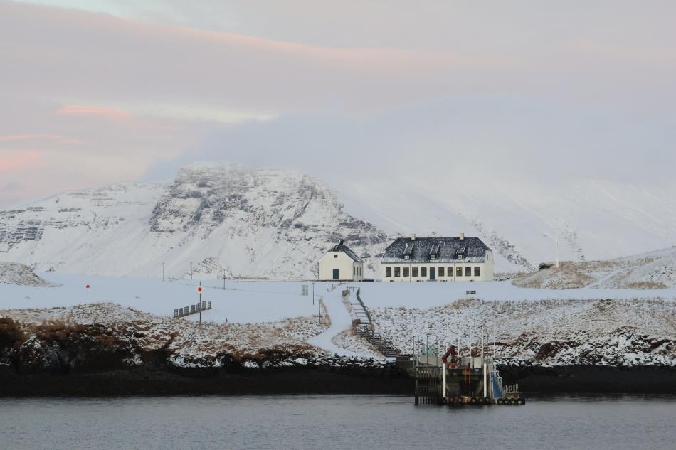 viðey island during winter