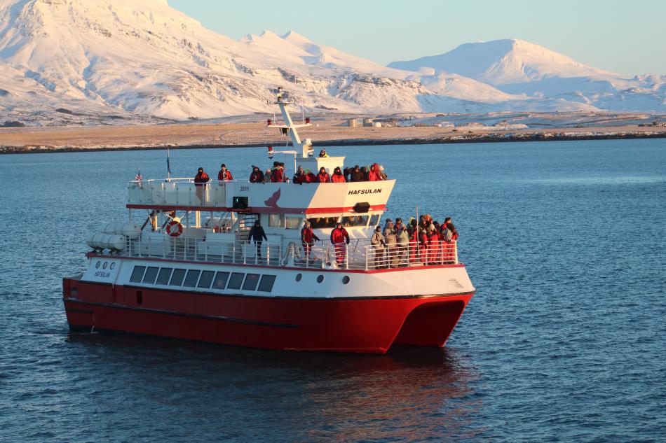 hafsúlan in the winter sun