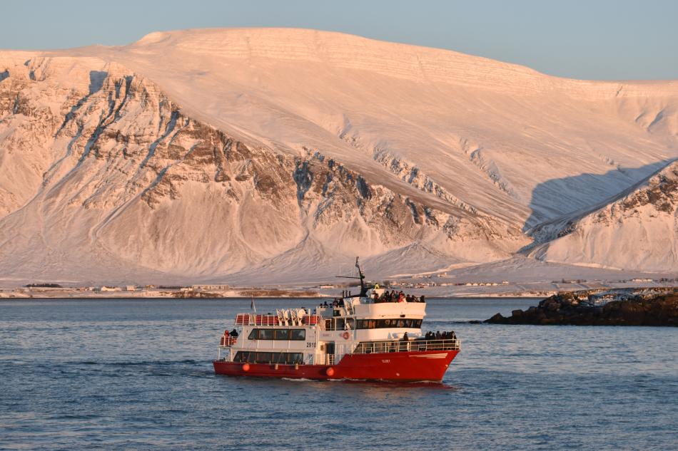 eldey in the winter sun next to snowy mt esja