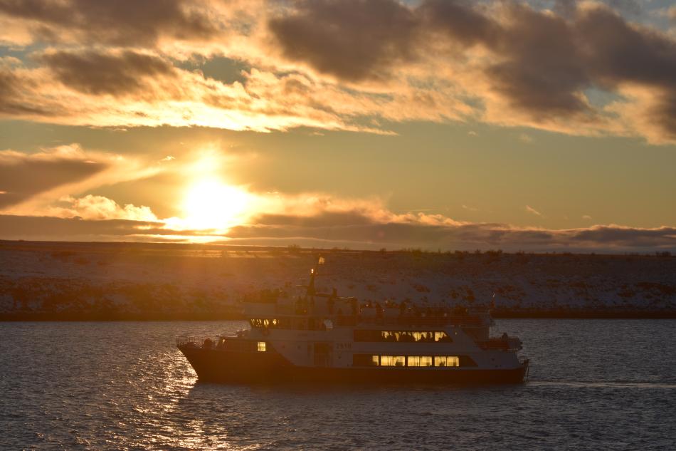 eldey in the winter sun