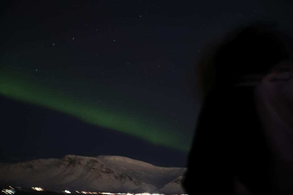 northern lights cruise