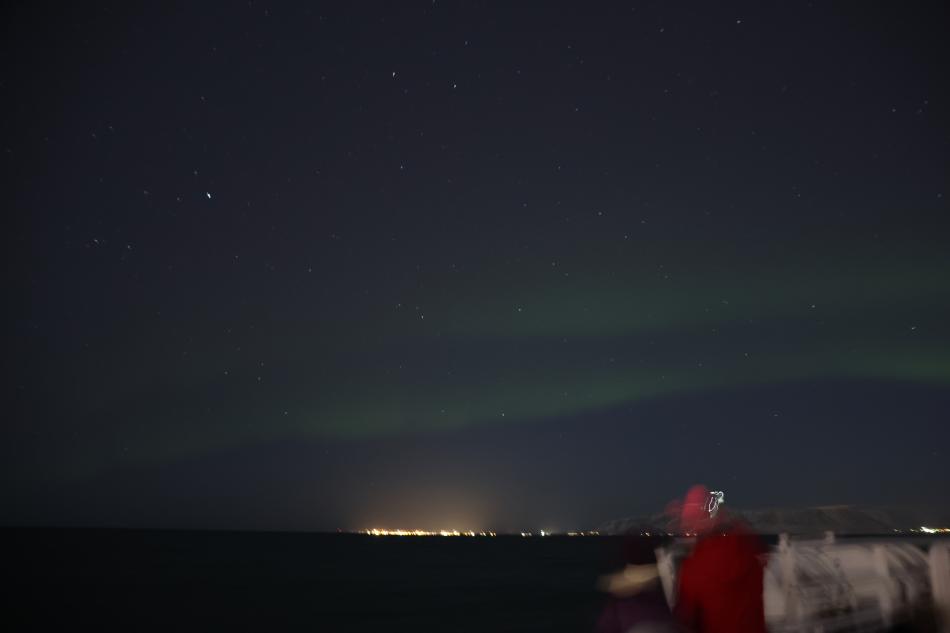 northern lights cruise