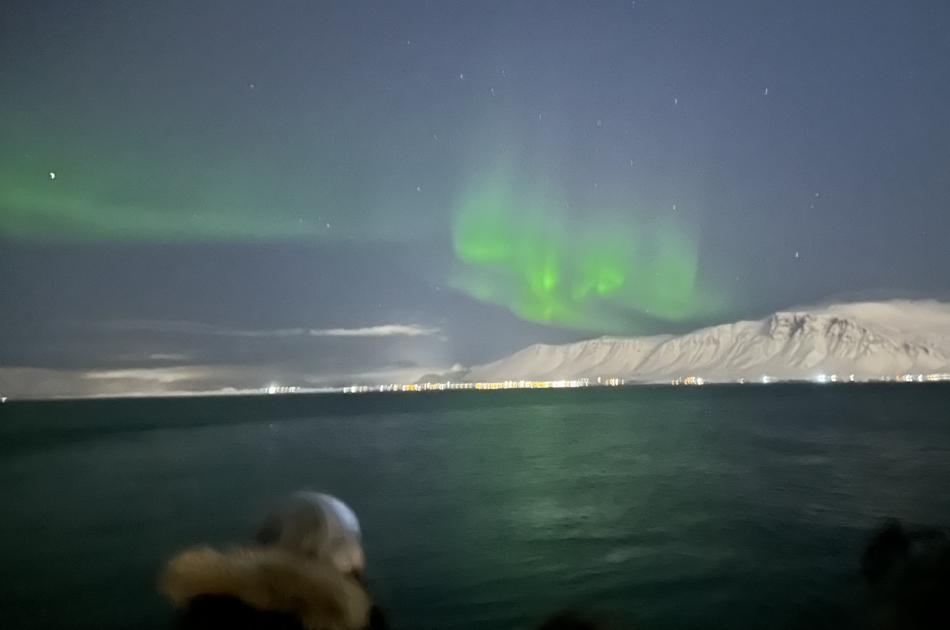 northern lights cruise