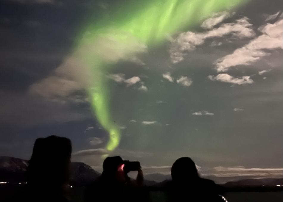 northern lights cruise, passengers look upon the auroras in the night sky