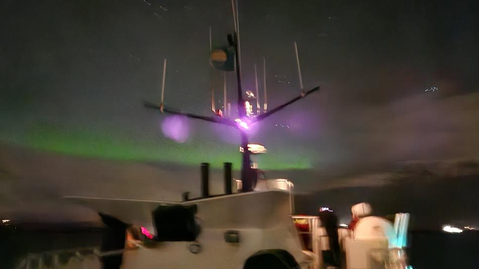 northern lights cruise