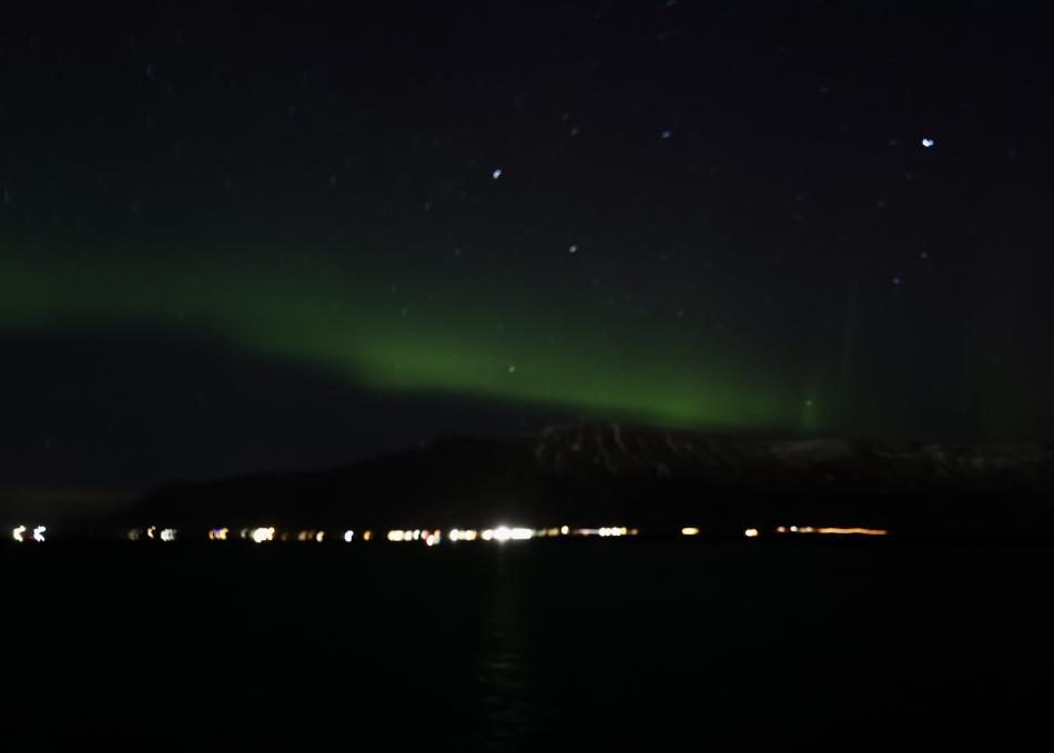 northern lights cruise