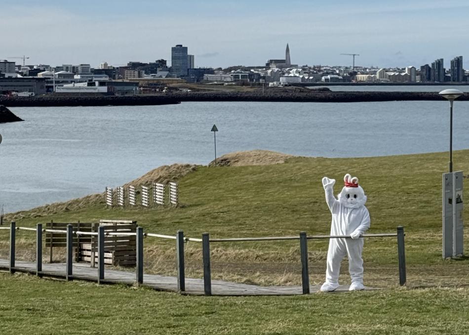 easter bunny waves to the camera from the pier with reykjavik in the background