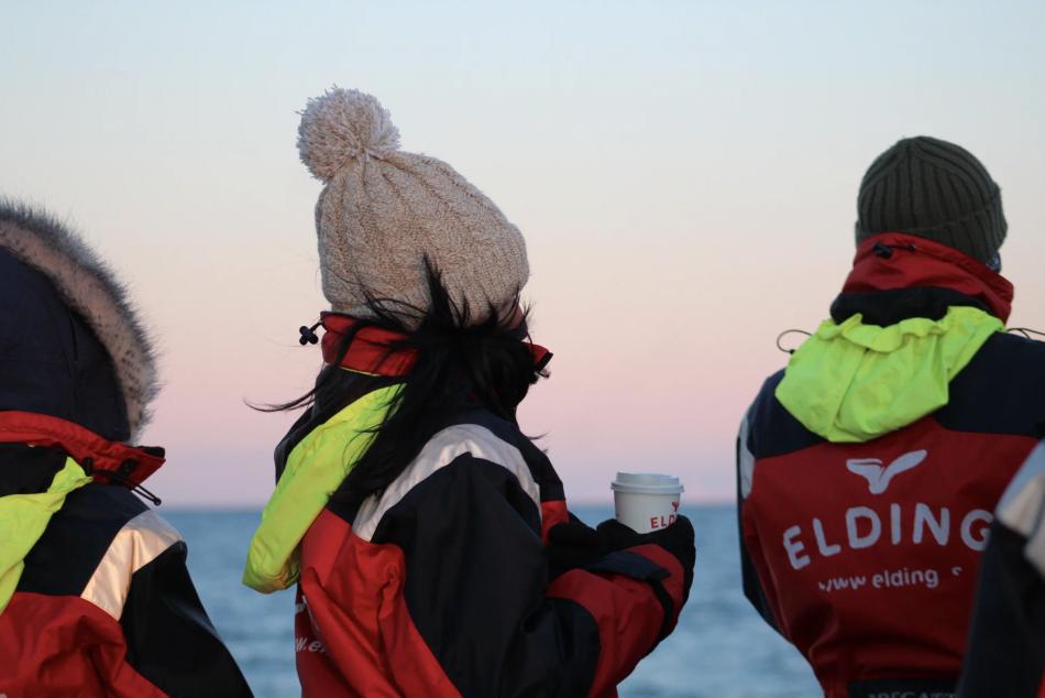 passengers on a whale watching cruise