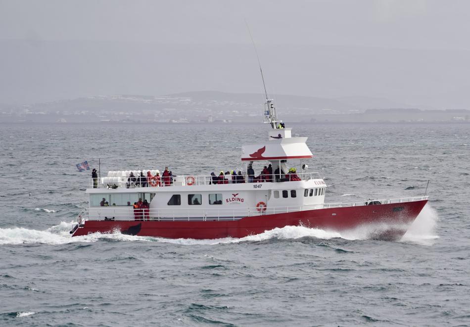 Elding boat sails with passengers