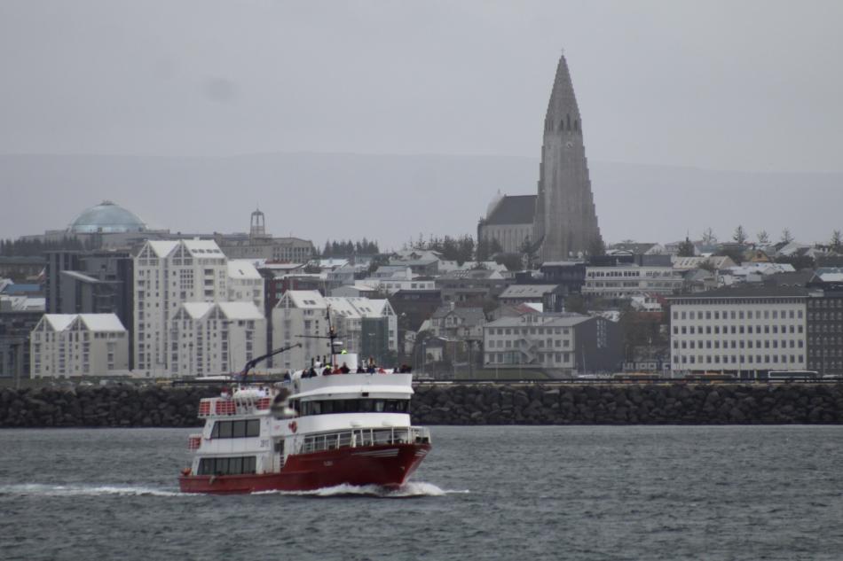 Eldey boat sails away from the harbour with Hallgrímskirkja church in the background