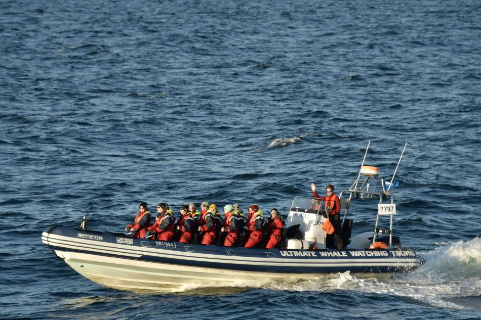 rib boat passengers zoom by