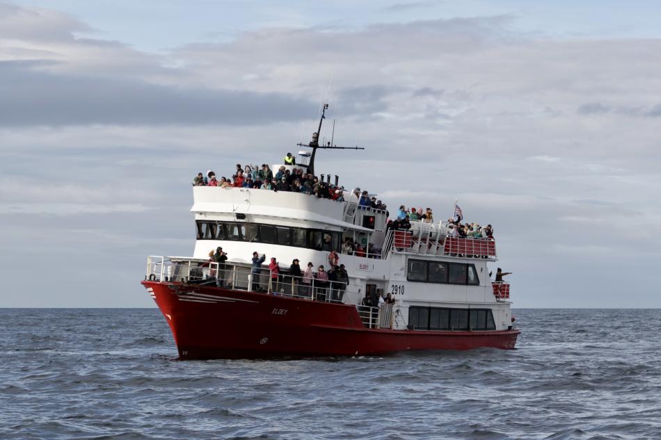 eldey boat with passengers in reykjavik iceland