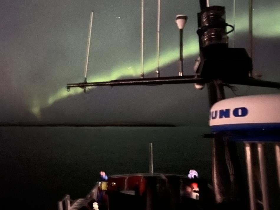northern lights cruise