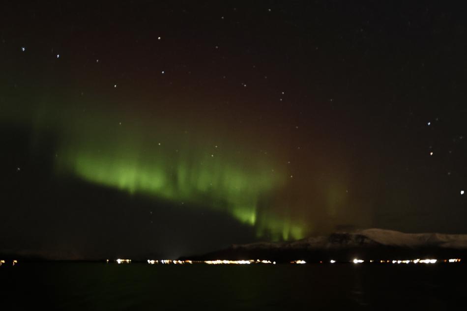 northern lights cruise