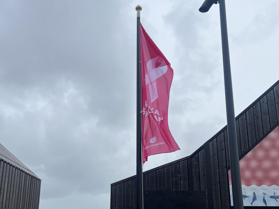 pink ribbon flag
