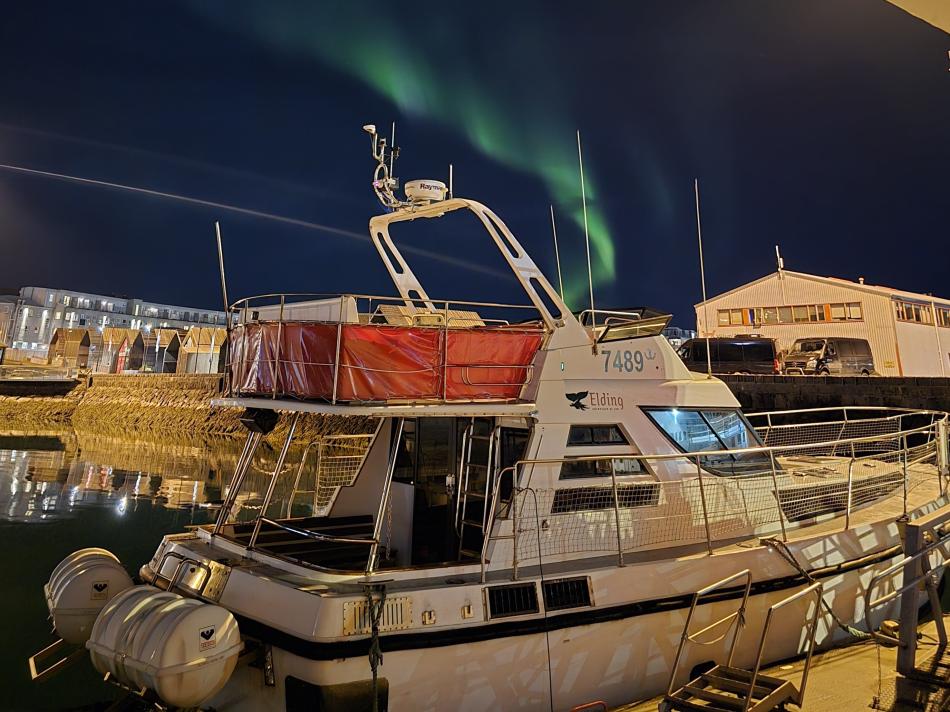 northern lights above Elding II