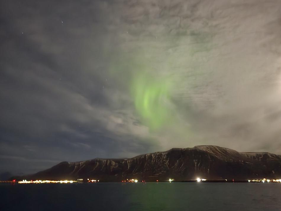 northern lights cruise