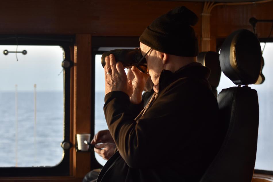 captain and crew looking for whales in the bridge