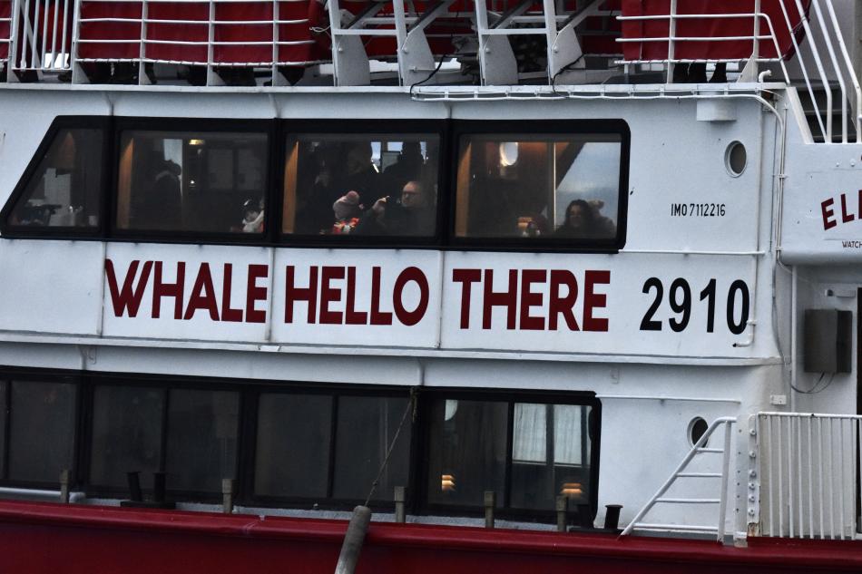 Eldey, whale hello there sign on boat - people sitting inside.