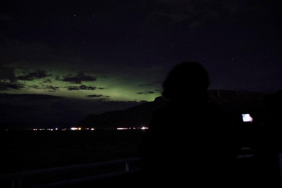 northern lights cruise